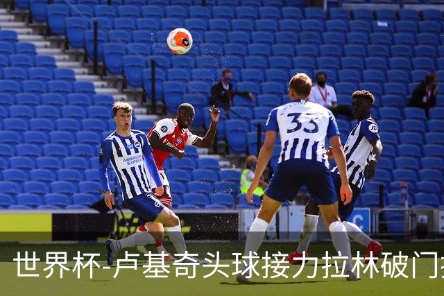 世界杯-卢基奇头球接力拉林破门扳平 加拿大1-1波黑