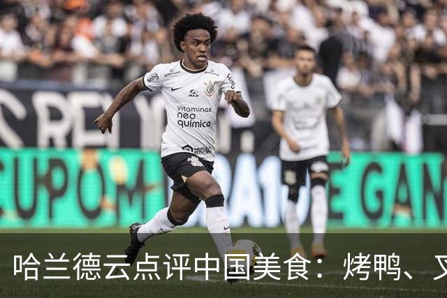 哈兰德云点评中国美食：烤鸭、叉烧、宫保鸡丁、肠粉、西红柿炒蛋