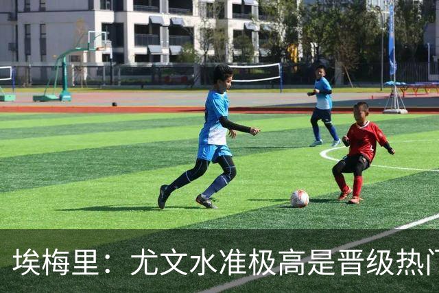 埃梅里：尤文水准极高是晋级热门 但我们不会放弃