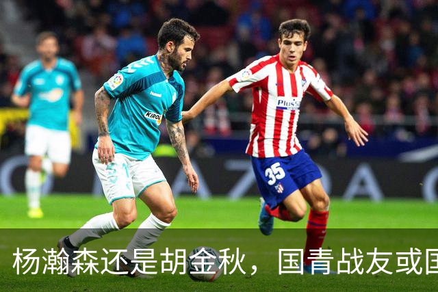 杨瀚森还是胡金秋，国青战友或国家队大哥，谁更适合搭档王俊杰？