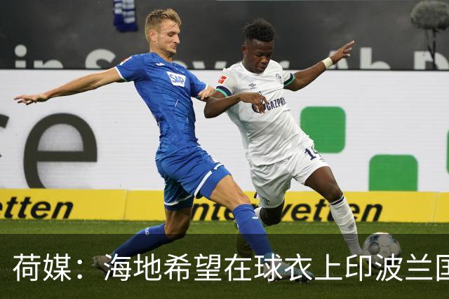 荷媒：海地希望在球衣上印波兰国旗彰显友谊，但被FIFA禁止