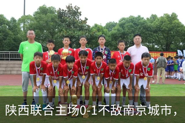 陕西联合主场0-1不敌南京城市，中甲最新积分榜揭晓