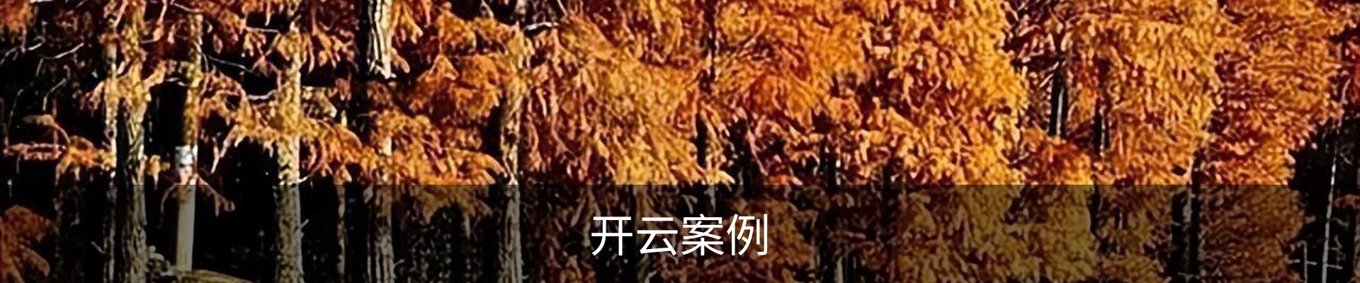 开云案例